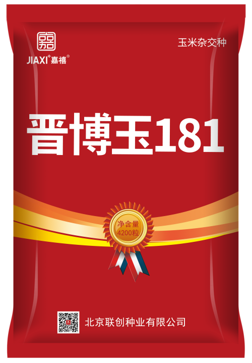 晉博玉181